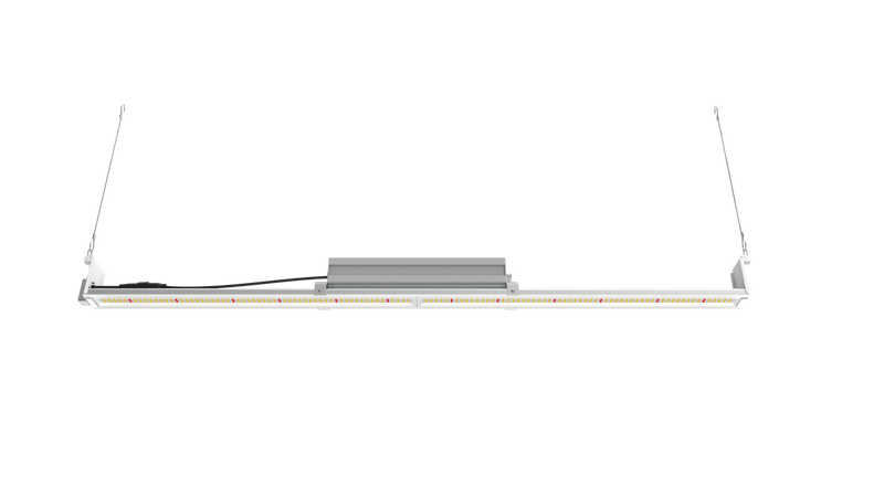 100w Single Bar - Multi Use (Clones / Veg / Side Lighting / 2x4 tents, etc) - Black Label Supply llc