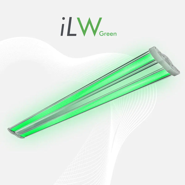 Iluminar iLW LED