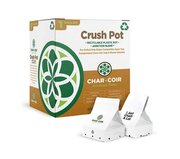 Char Coir Crush Pot