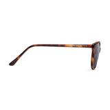 LENNOX SUN POLARIZED(Tortoise Glossy)