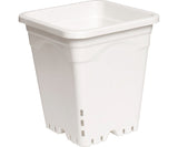 Active Aqua Sq Pot White - Black Label Supply llc