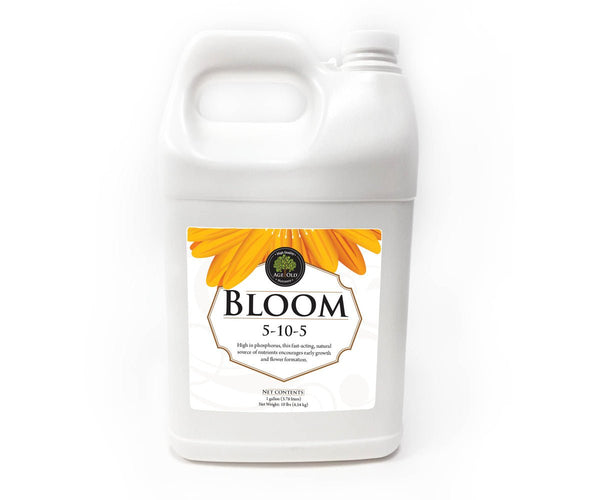 Age Old Bloom - Black Label Supply llc