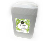 Age Old Kelp - Black Label Supply llc