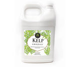 Age Old Kelp - Black Label Supply llc