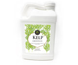 Age Old Kelp - Black Label Supply llc