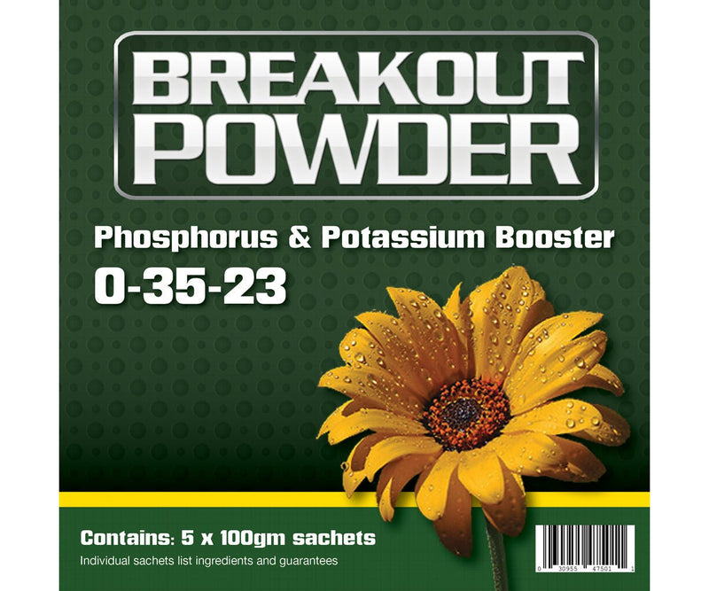 Aptus Breakout Powder, (5 - Pack) - Black Label Supply llc