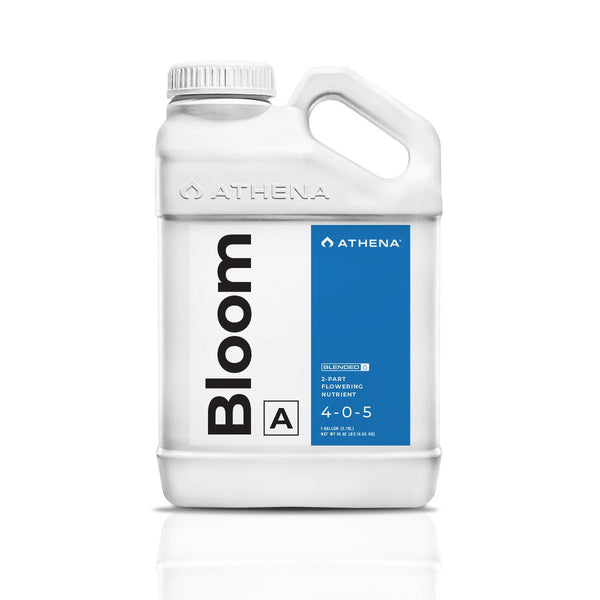 Athena - Bloom A - Black Label Supply llc