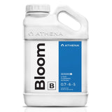 Athena - Bloom B - Black Label Supply llc