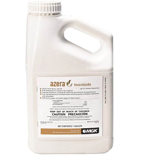 Azera - Black Label Supply llc