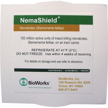 BioWorks® NemaShield® Steinernema Beneficial Nematodes - 100 Million Pack - Black Label Supply llc