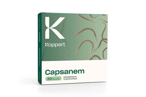 Capsanem Organic Large - Black Label Supply llc