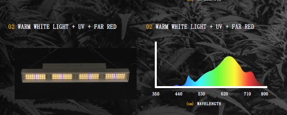 EST GH001 Pro - Black Label Supply llc