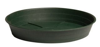 Green Premium Saucers - Black Label Supply llc