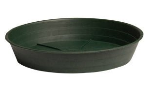 Green Premium Saucers - Black Label Supply llc