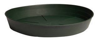 Green Premium Saucers - Black Label Supply llc