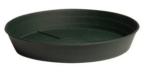 Green Premium Saucers - Black Label Supply llc