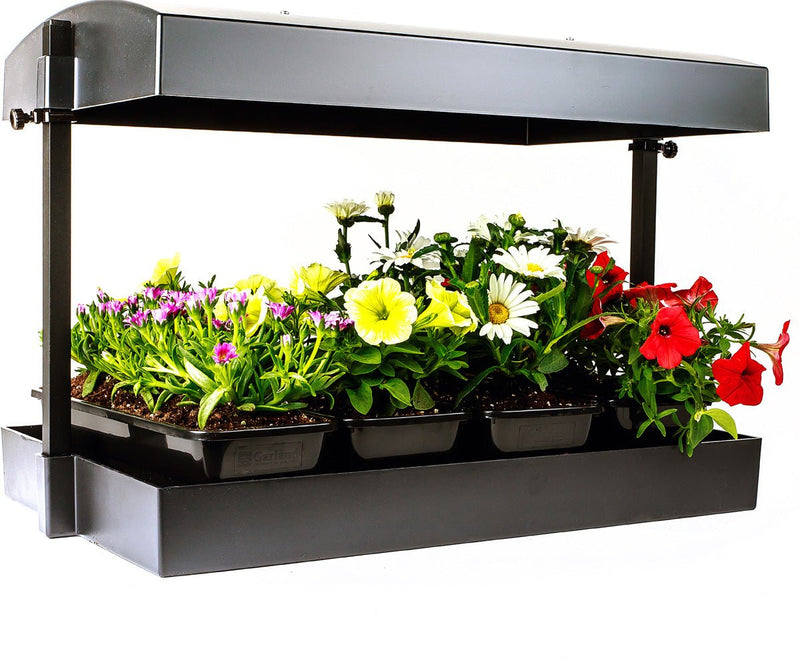 Grow Light Garden (1/ea) - Black Label Supply llc