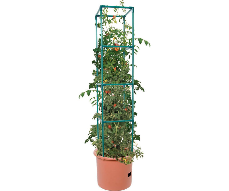 Heavy Duty Tomato Barrel w/Tower (4/cs) - Black Label Supply llc