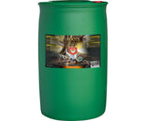 House & Garden Roots Excelurator Gold - Black Label Supply llc