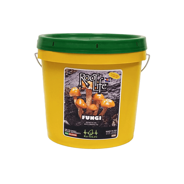 KEY TO LIFE - ROOT LIFE FUNGI - Black Label Supply llc