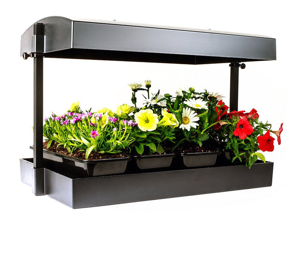 LED - Growlight Garden - Black - Black Label Supply llc