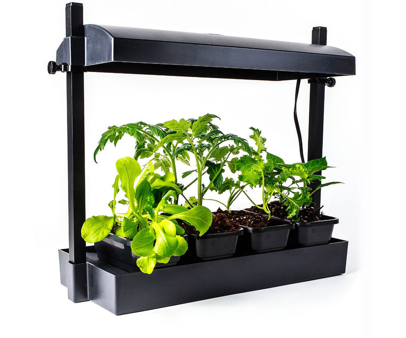 LED - Growlight Garden Micro - Black - Black Label Supply llc