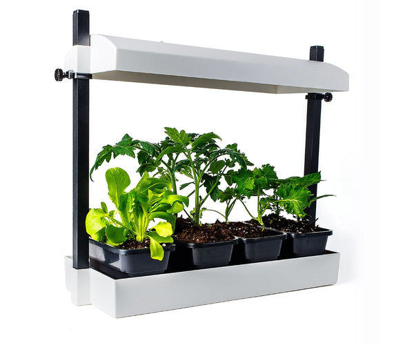 LED - Growlight Garden Micro - White - Black Label Supply llc