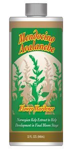 Mendocino Avalanche - Black Label Supply llc