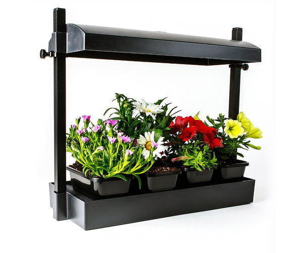 Micro Grow Light Garden Black (1/ea) - Black Label Supply llc