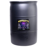 Purpinator 0 - 2 - 4 from Rhizoflora - Black Label Supply llc