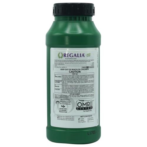 Regalia CG - Black Label Supply llc