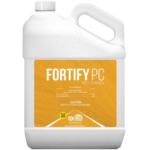 RX Green Solutions - FORTIFY PC 1g - Black Label Supply llc