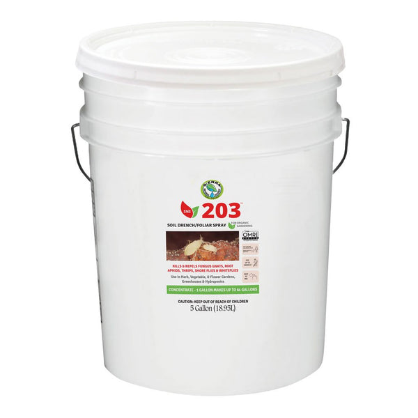 SNS - 203, 5 Gallon Pail Case Concentrate - Black Label Supply llc