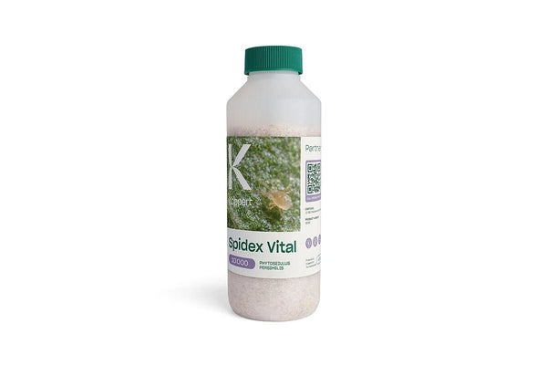 Spidex Vital 10K - Black Label Supply llc