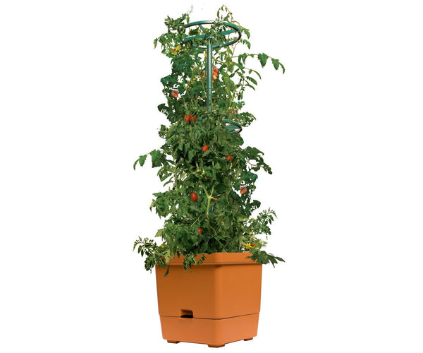 Tomato Tree w/ 3' Tower - Black Label Supply llc