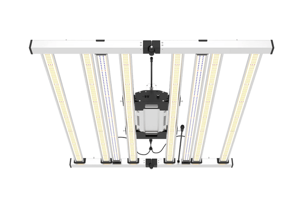 UV Upgrade Kit for Mint White Series (2 UV bars + 100w driver) - Black Label Supply llc