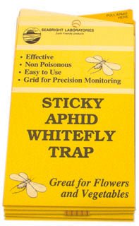 White Fly Traps, 5 pack - Black Label Supply llc